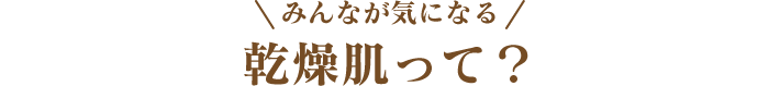 みんなが気になる 乾燥肌って?