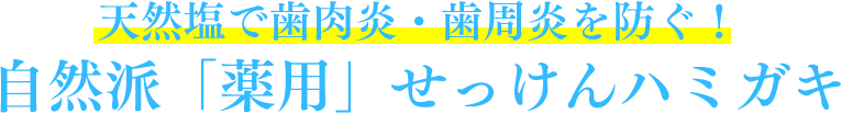 天然塩で歯肉炎・歯周炎を防ぐ!自然派「薬用」せっけんハミガキ
