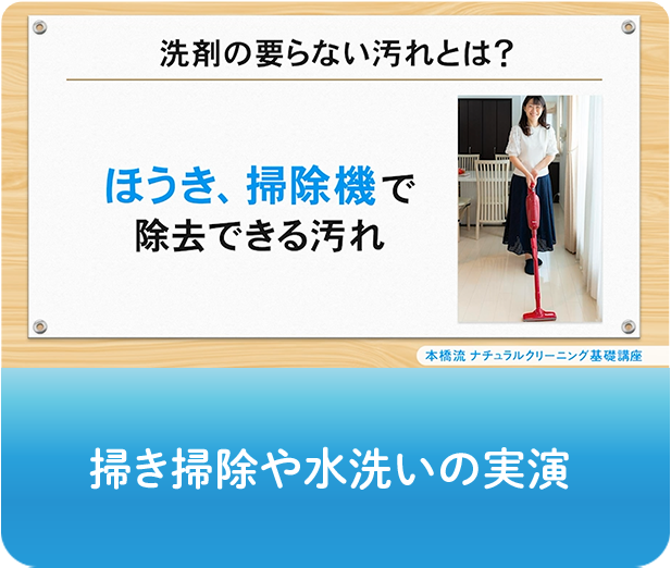 動画画像