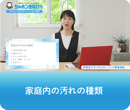 動画画像