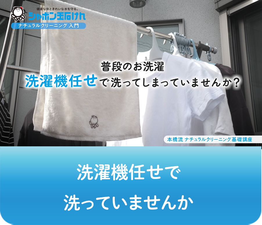 動画画像