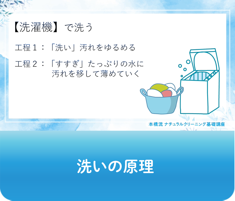 動画画像