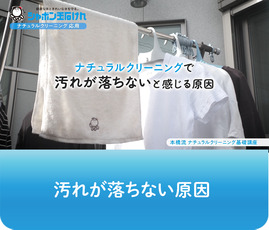 動画画像