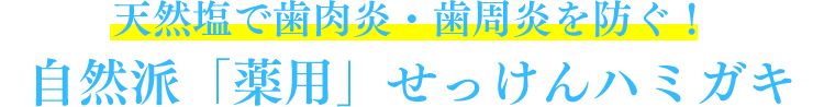 天然塩で歯肉炎・歯周炎を防ぐ!自然派「薬用」せっけんハミガキ